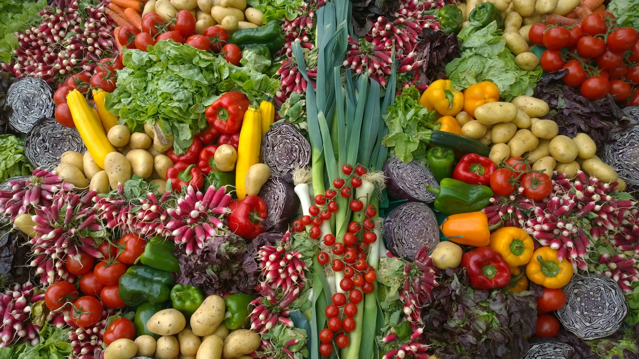Premium Fresh Fruits